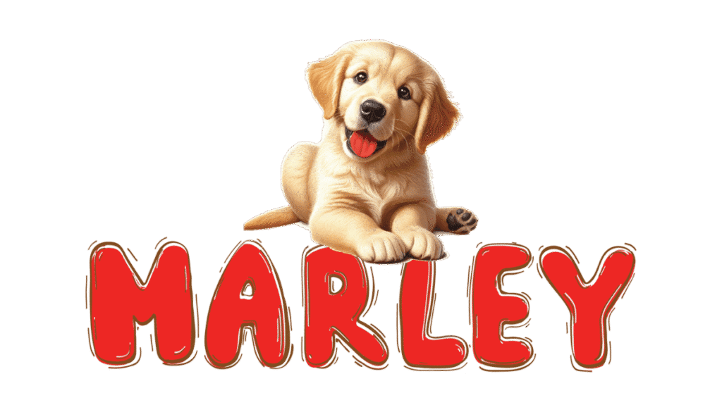 logo marley