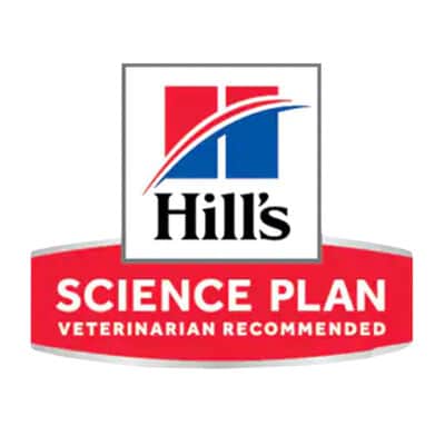 hills