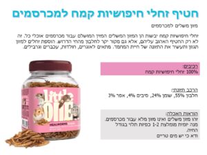 ליטל וואן 32390 - חטיף זחלי חיפושיות קמח, 70 גרם