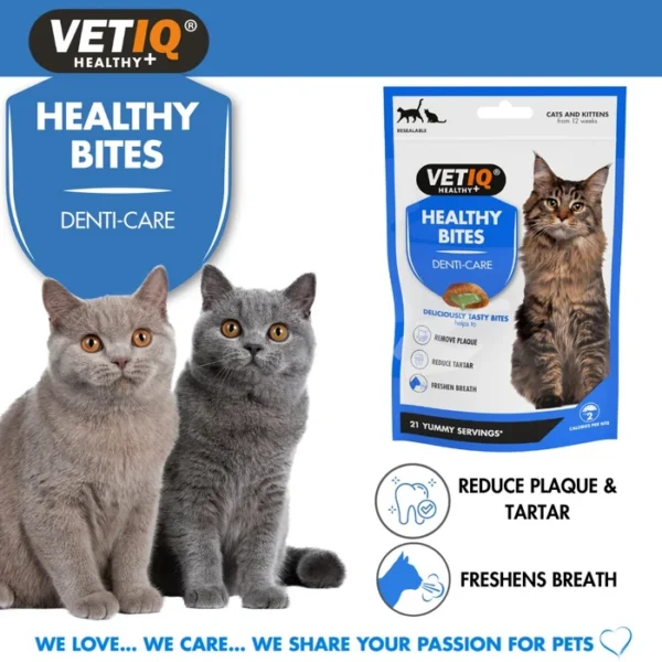 VETIQ חטיף דנטלי למניעת אבנית 65 גרם
