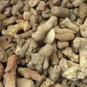 אלמוג גרוס 3-4 סמ, 1 ק"ג