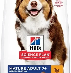 הילס סאיינס פלאן מזון יבש לכלב סניור עוף 14 ק"ג