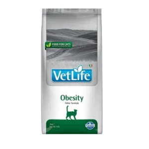 וטלייף אובסיטי חתול