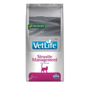 וטלייף סטרוויט מנג'מנט חתול 2 ק"ג