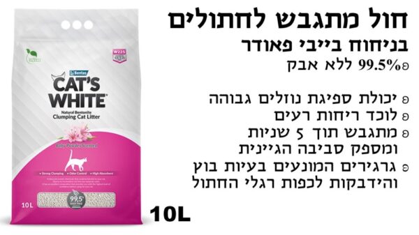 חול קט וויט