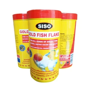 מזון לכל סוגי דגי הזהב