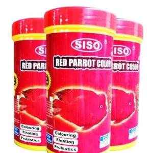 מחזק צבע לדג תוכי 1000 מ''ל