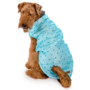 מעיל לבבות תכלת