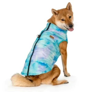 מעיל ריינבו