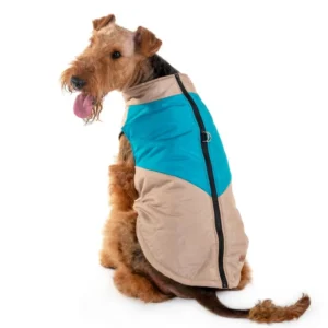 מעיל תכלתבז' ספורטיבי