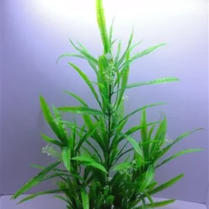 צמח ירוק בהיר 60 ס"מ