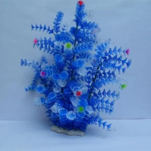 צמח כחול 50 ס"מ