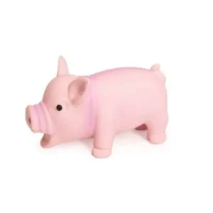 צעצוע חזיר מצפצף לכלב קטן