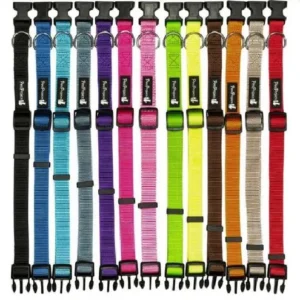 קולר לכלב מידה גדולה L בייסיק במגוון צבעים