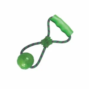 קונג ידית עם כדור גומי מצפצץ