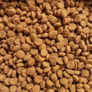 קילו לחתולי רחוב ב 10 ש''ח