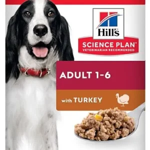 שימור הילס סאיינס פלאן כלב בוגר הודו