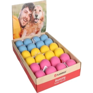 הכדור המקפץ