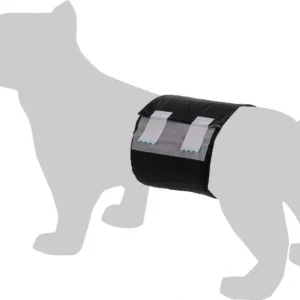 חיתולים לכלב זכר