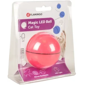 כדור הקסם לחתול