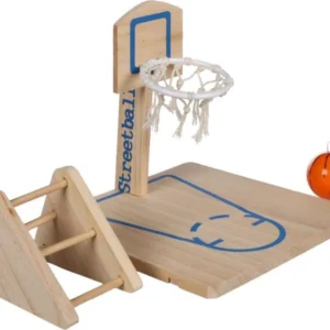 מגרש כדורסל לציפורים