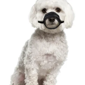 מחסום פה ניילון