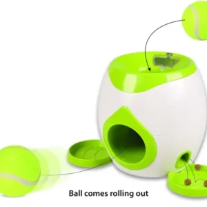 משחק איסוף כדורי טניס