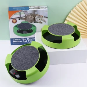 משחק חתול עכבר