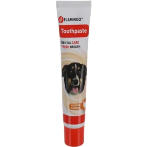 משחת שיניים בטעם עוף