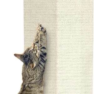 משטח גירוד פינתי בצבע בז'