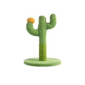 עמוד גירוד קקטוס