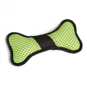 עצם בד מצפצפת