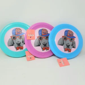 פריזבי פלסטיק