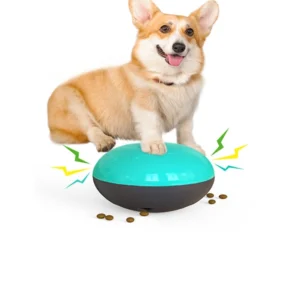 צלחת אוכל מצפצפת