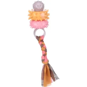 צעצוע לגור מוצץ