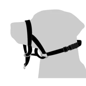 קולר EASY LEADER