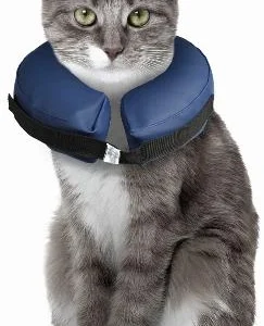 קולר ענן מתנפח