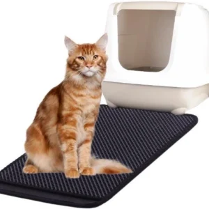 שטיח פטנט מרובע