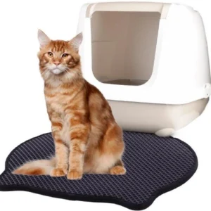 שטיח פטנט ראש חתול