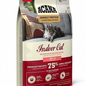 אקנה חתול אינדור