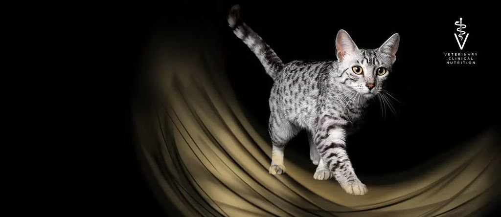 פרו פלאן אוכל וטרינרי באנר מותג