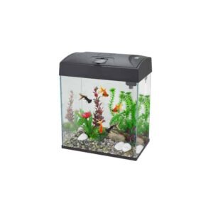 אקווריום בייסיק 15 ליטר