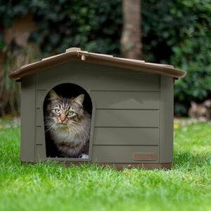 MP Bergamo Princess מלונהקטנה