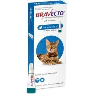 6.25-2.8 אמפולה ברבקטו לחתולים