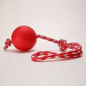 כדור גומי מלא דחוס עם חבל S