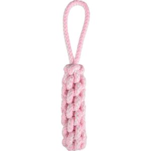 מקל לולאה כלב