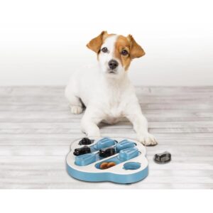 משחק חשיבה רמה 2