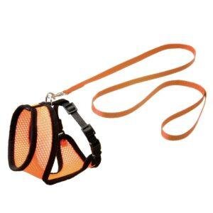 סט הולכה כתום לחתול פלמינגו