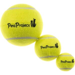 צעצוע לעלב שלישית כדורי טניס מצפצף S