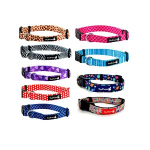 קולר בד צבעוני 10 מ"מ מידה XS